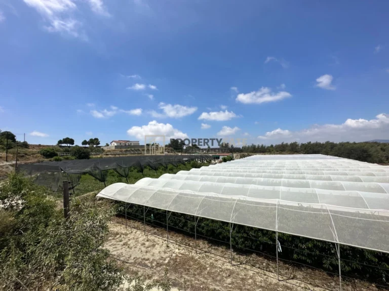 34,272m² Plot for Sale in Kellaki, Limassol District