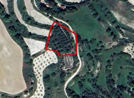 2,091m² Plot for Sale in Letymvou, Paphos District