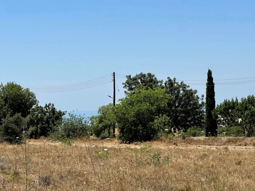 6,095m² Plot for Sale in Mesogi, Paphos District