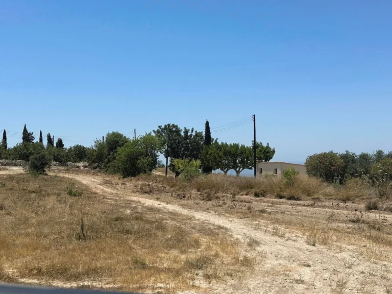 6,095m² Plot for Sale in Mesogi, Paphos District