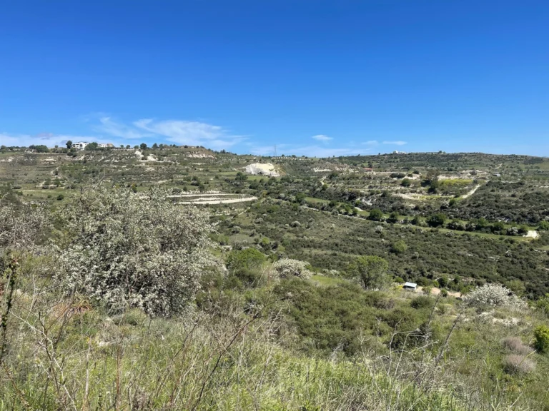 6,689m² Plot for Sale in Tsada, Paphos District