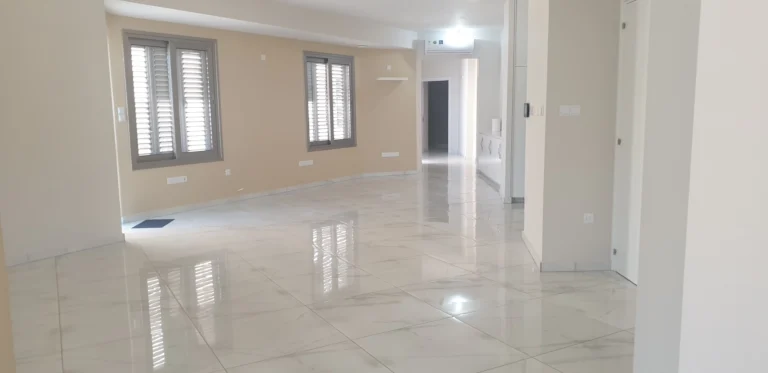 4 Bedroom Apartment for Rent in Larnaca District