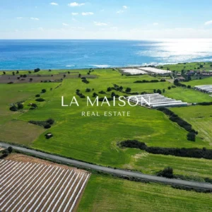 Plot for Sale in Mazotos, Limassol District