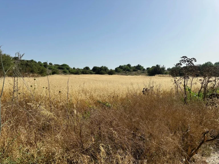 12,821m² Plot for Sale in Marathounta, Paphos District