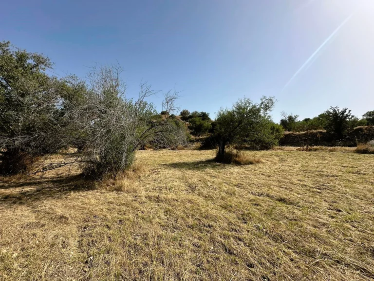 4,683m² Plot for Sale in Marathounta, Paphos District