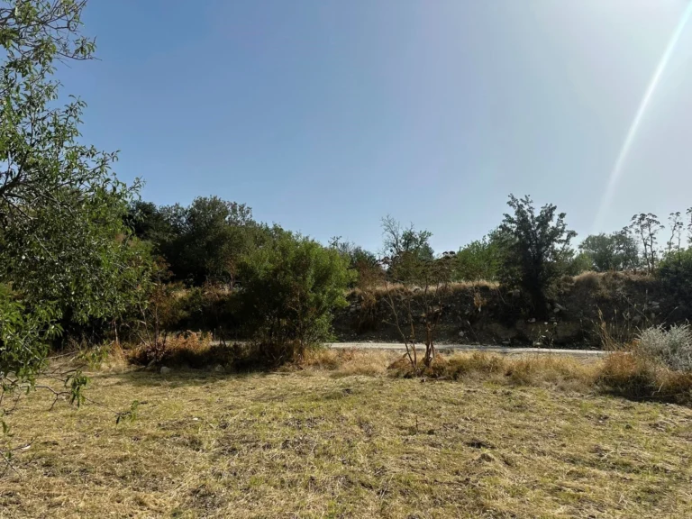 4,683m² Plot for Sale in Marathounta, Paphos District