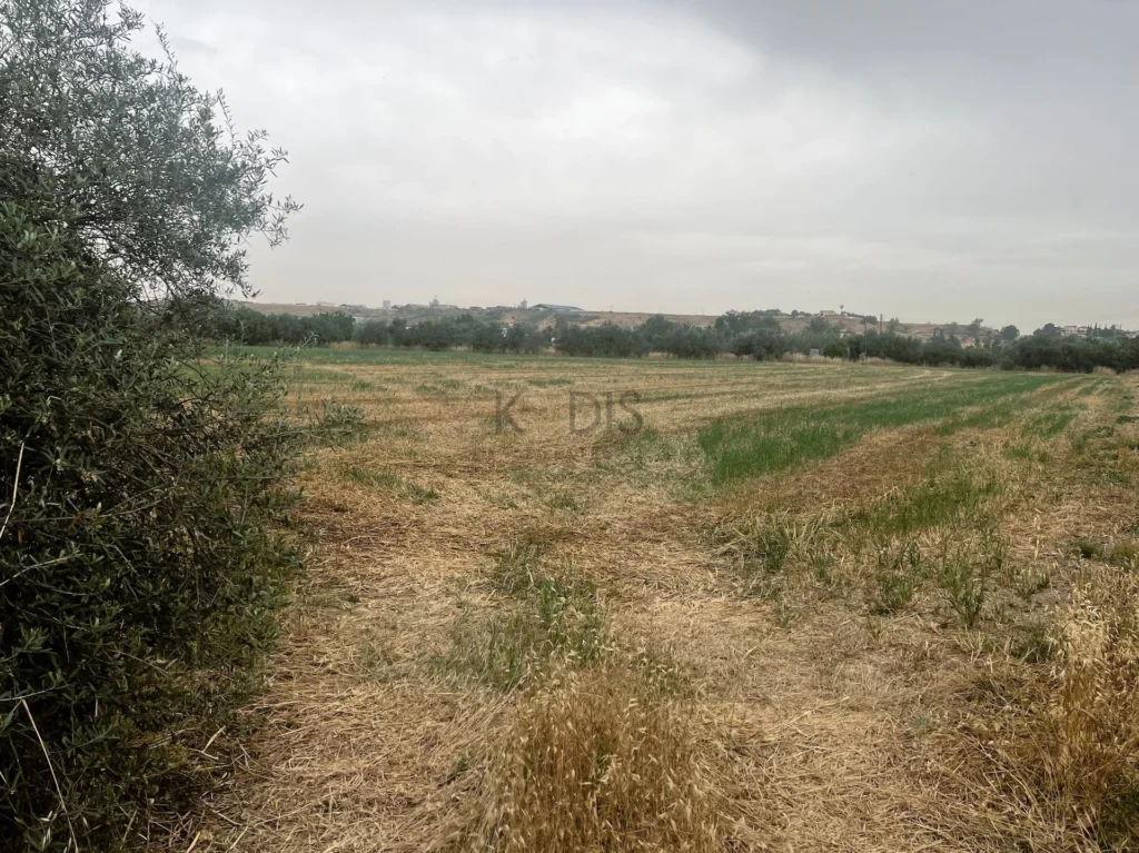 3,809m² Plot for Sale in Dali, Nicosia District