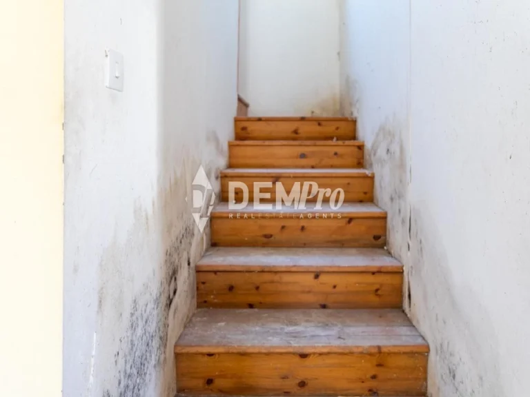 Average Price per SQM for House in Paphos