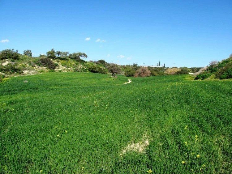 2000m² Commercial for Sale in Kalavasos, Larnaca District