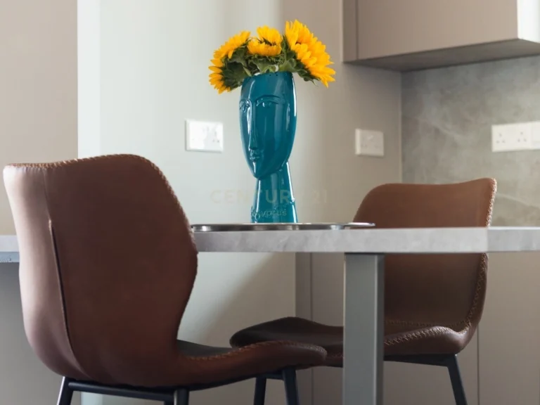 2 Bedroom Apartment for Rent in Limassol District