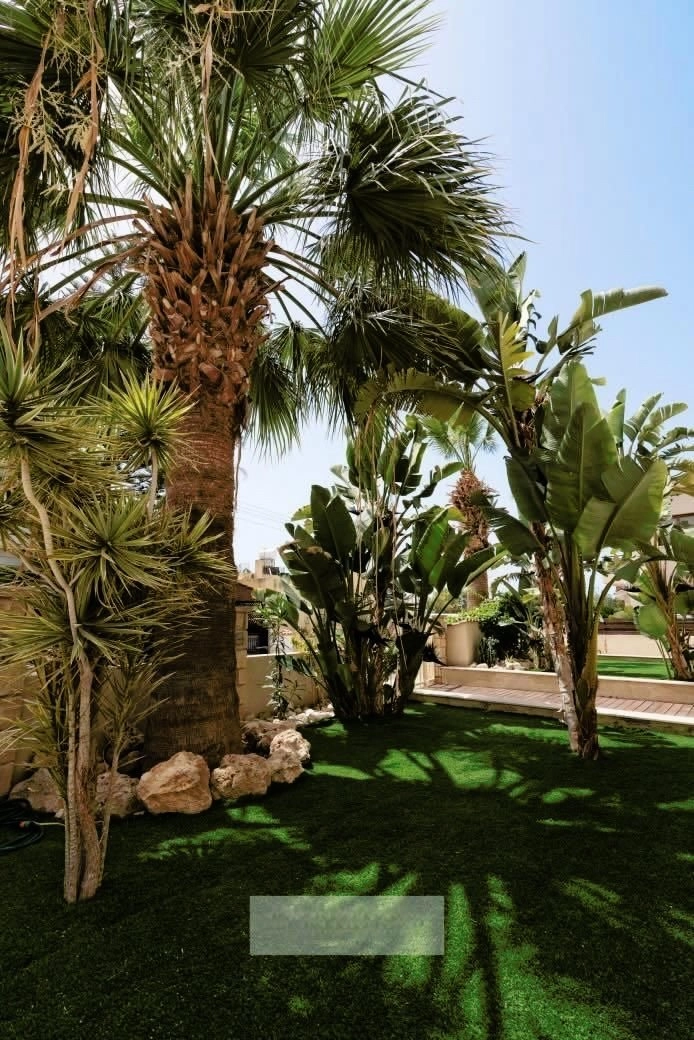 6+ Bedroom House for Sale in Paphos – Universal