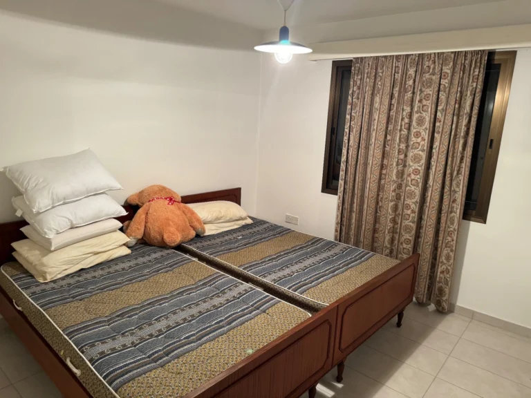 300m² Commercial for Sale in Paphos – Agios Theodoros