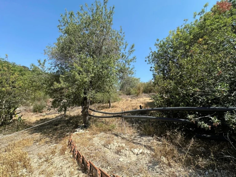 2,106m² Plot for Sale in Marathounta, Paphos District