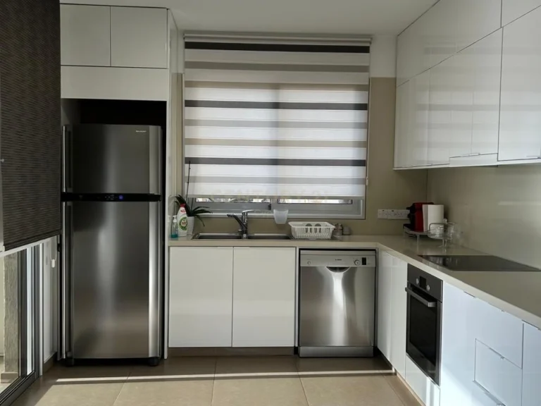 3 Bedroom Apartment for Rent in Limassol District