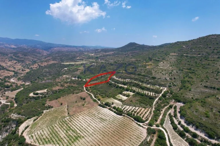 5,686m² Plot for Sale in Pachna, Limassol District