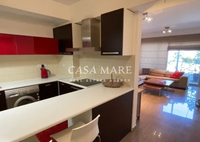 2 Bedroom Apartment for Rent in Nicosia District