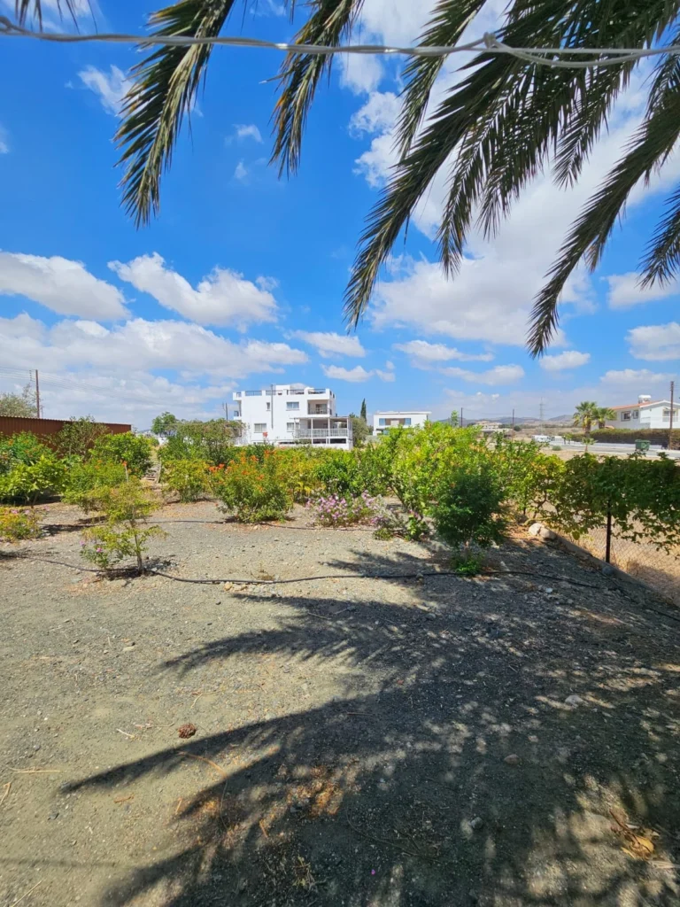 Cheap Houses and Villas for Rent Paphos