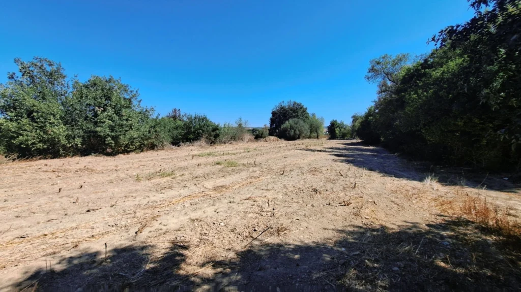 1,338m² Plot for Sale in Polemi, Paphos District