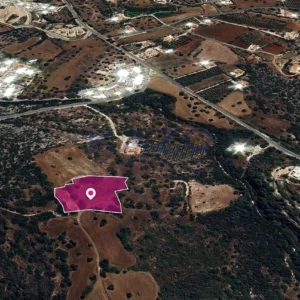 7,358m² Plot for Sale in Neo Chorio Pafou, Paphos District