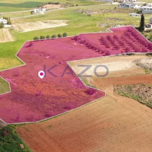 9,786m² Plot for Sale in Palaiometocho, Nicosia District