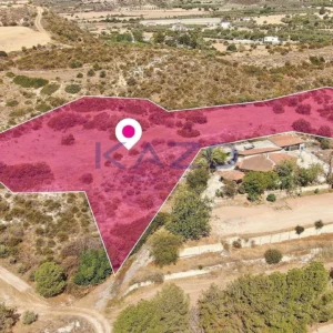 8,696m² Plot for Sale in Larnaca District