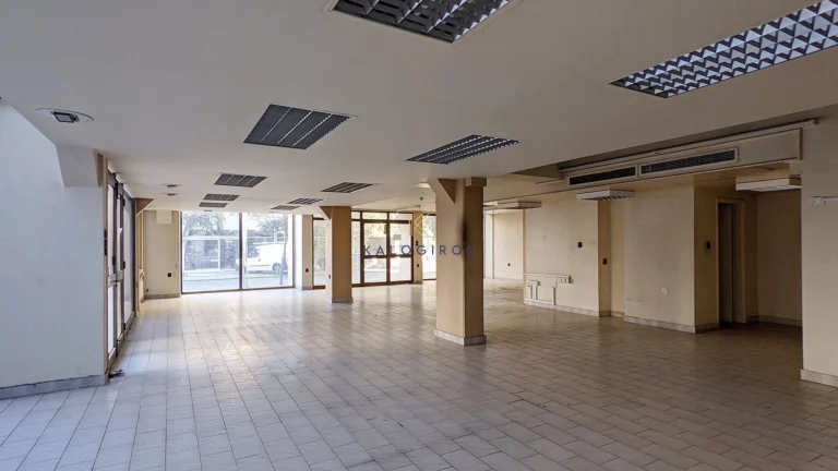 1135m² Commercial for Sale in Nicosia District