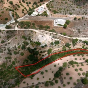 101,028m² Plot for Sale in Paphos – Agios Theodoros