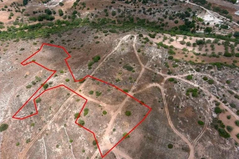 101,028m² Plot for Sale in Paphos – Agios Theodoros