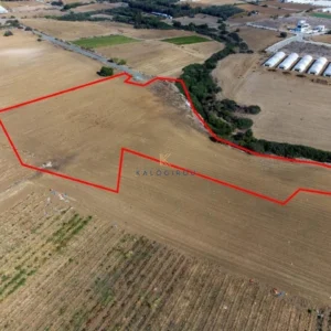 14,588m² Plot for Sale in Zygi, Larnaca District