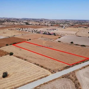 6,096m² Plot for Sale in Alaminos, Larnaca District