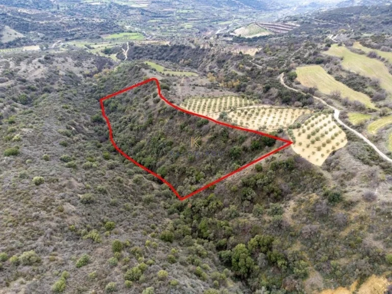 15,608m² Plot for Sale in Agios Dimitrianos, Paphos District