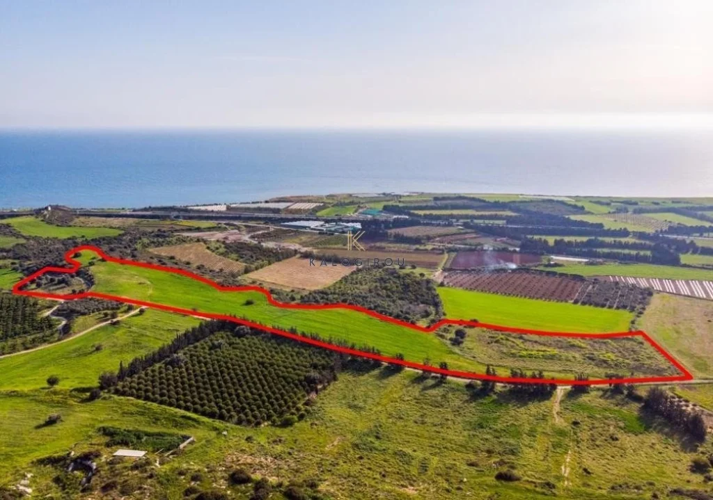 29,432m² Plot for Sale in Kouklia Pafou, Paphos District