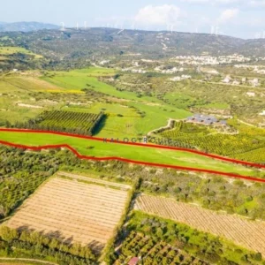 29,432m² Plot for Sale in Kouklia Pafou, Paphos District