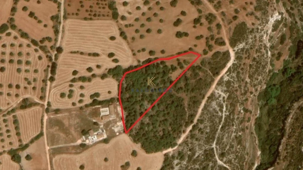 9,365m² Plot for Sale in Neo Chorio Pafou, Paphos District