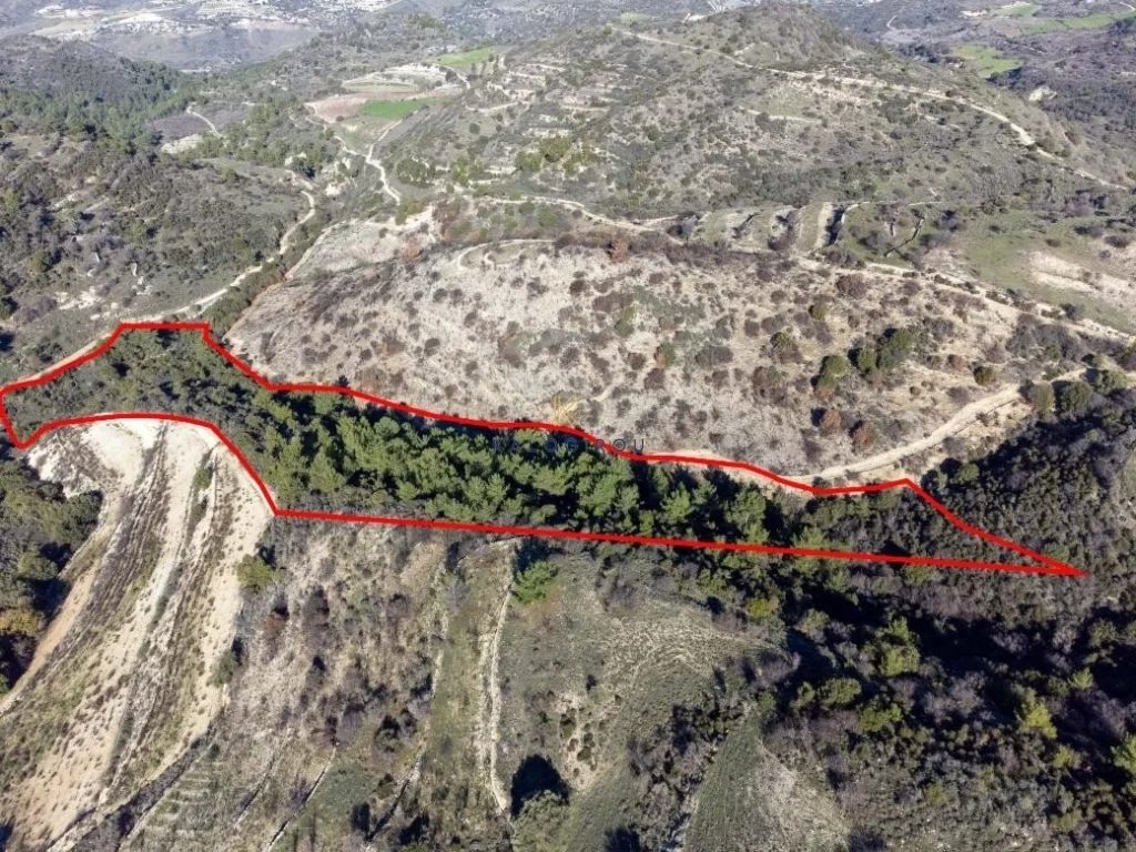 19,399m² Plot for Sale in Mousere, Paphos District