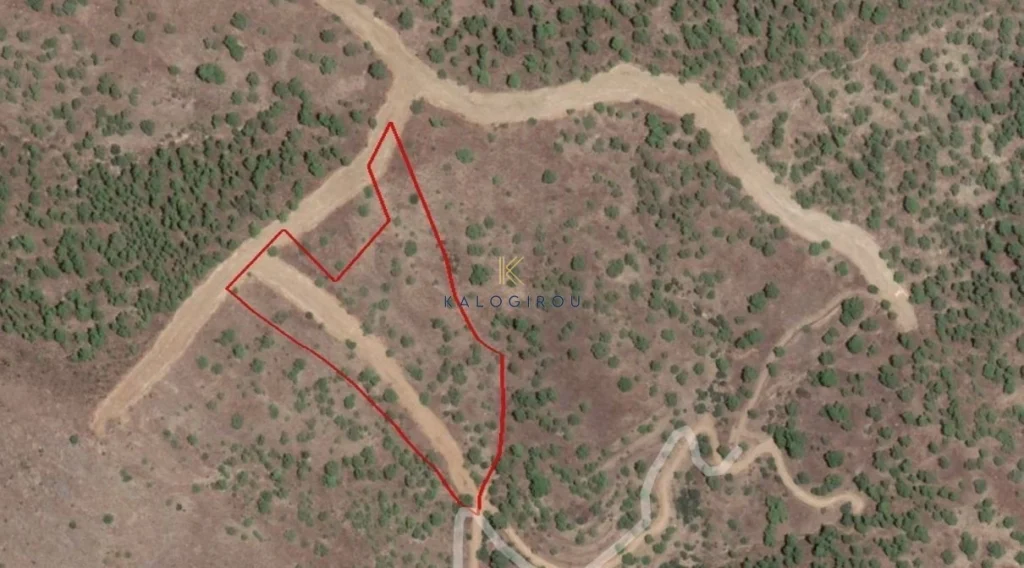 15,720m² Plot for Sale in Agios Theodoros Soleas, Nicosia District