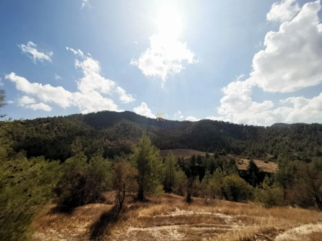 3,011m² Plot for Sale in Agios Theodoros Soleas, Nicosia District