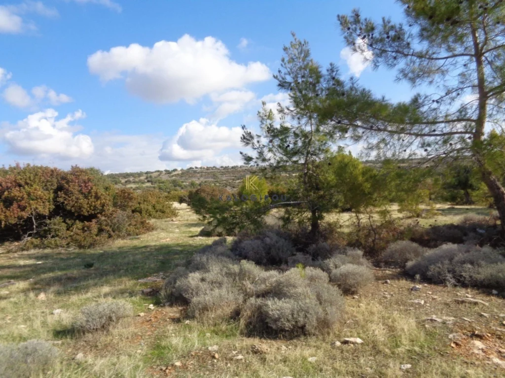 9,700m² Plot for Sale in Sotira Lemesou, Limassol District