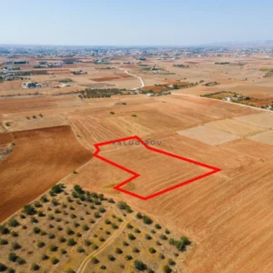 5,640m² Plot for Sale in Agioi Trimithias, Nicosia District