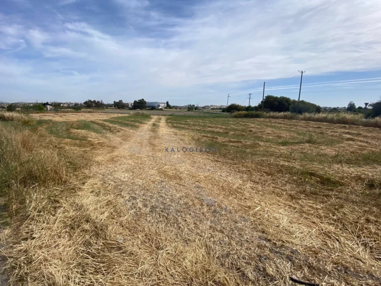 1,570m² Plot for Sale in Mazotos, Larnaca District