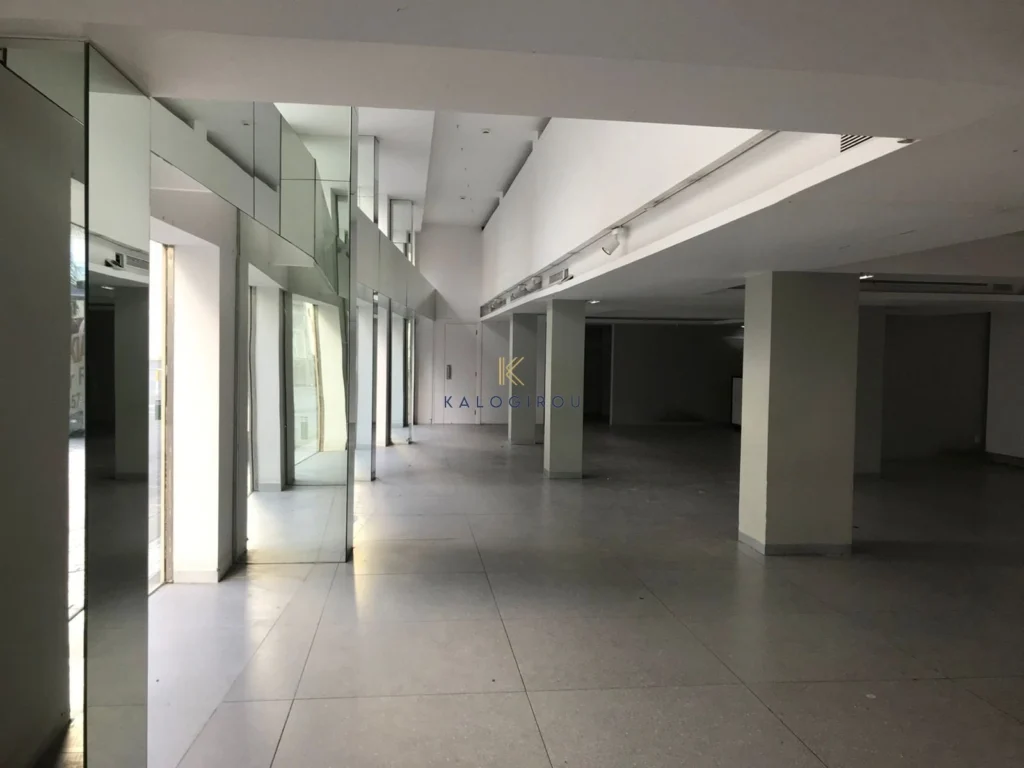 650m² Commercial for Rent in Larnaca District