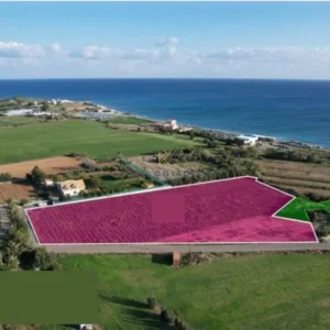 8,027m² Plot for Sale in Agios Theodoros, Larnaca District