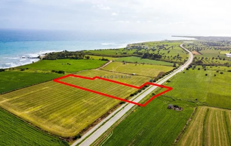 16,686m² Plot for Sale in Mazotos, Larnaca District