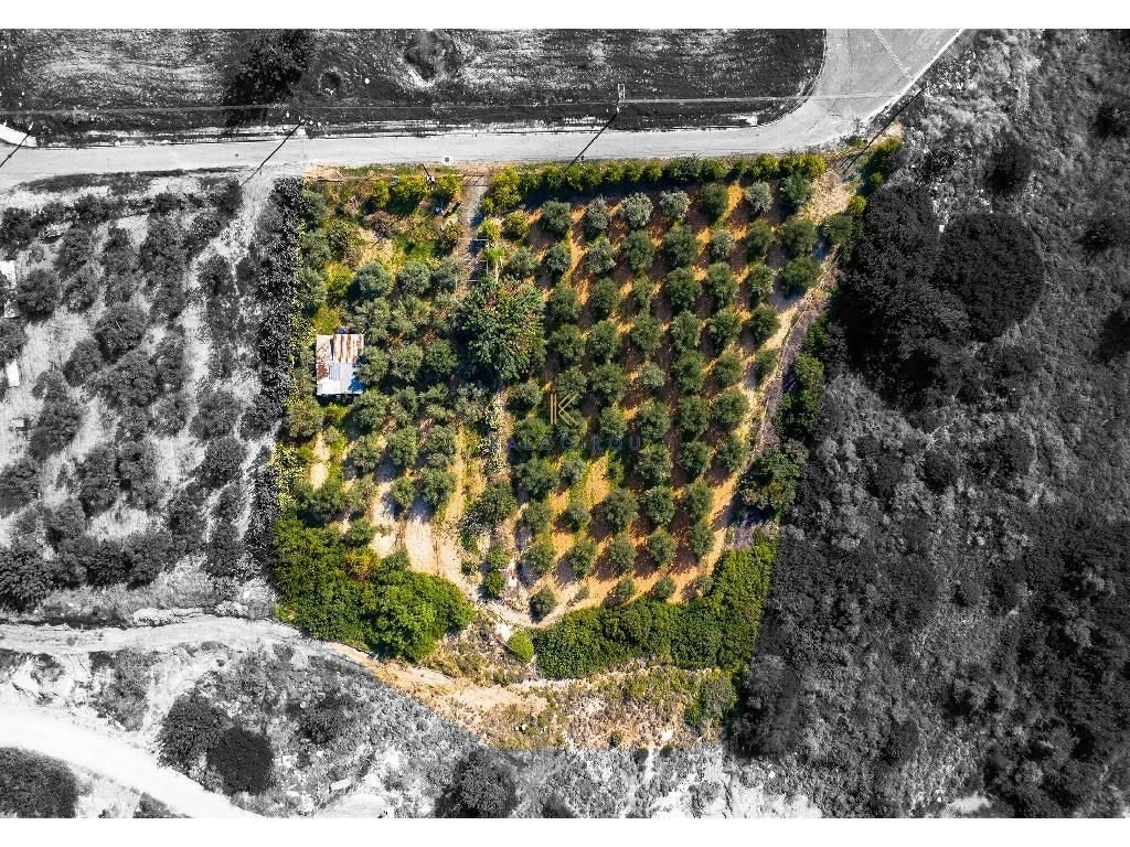 4,683m² Plot for Sale in Limassol District