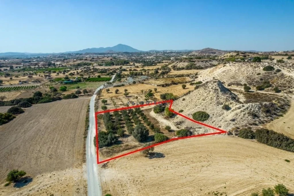 2,788m² Plot for Sale in Mazotos, Larnaca District