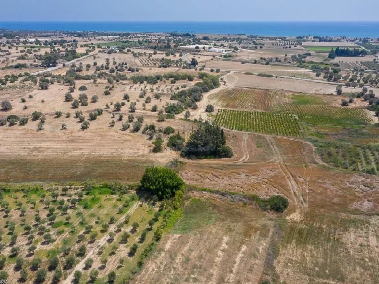 3,512m² Plot for Sale in Mazotos, Larnaca District