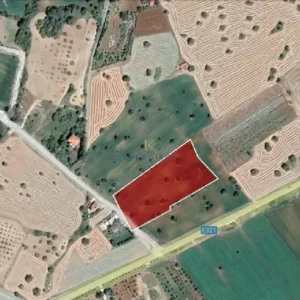 2,564m² Plot for Sale in Mazotos, Larnaca District