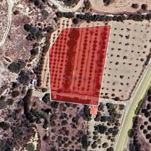 4,032m² Plot for Sale in Psematismenos, Larnaca District