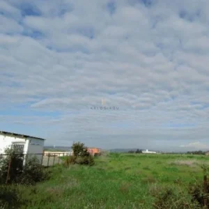 57,635m² Plot for Sale in Dromolaxia, Larnaca District