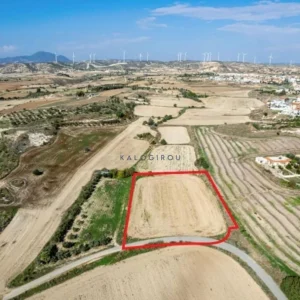 4,879m² Plot for Sale in Tersefanou, Larnaca District